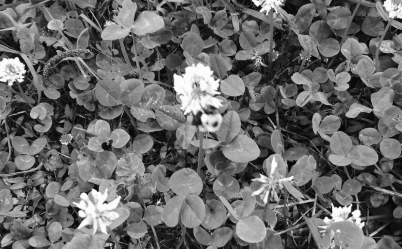 In Which I Deprecate All Over&nbsp;Myself