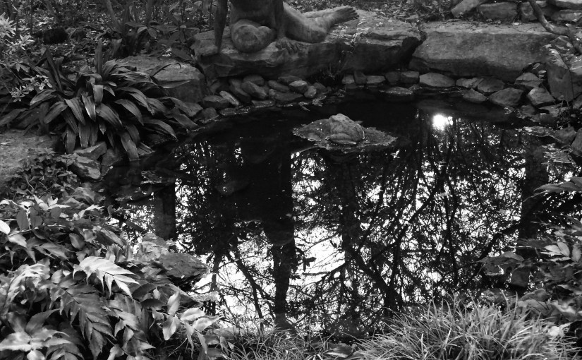 New Year, New Me (LOL,&nbsp;Jk.)